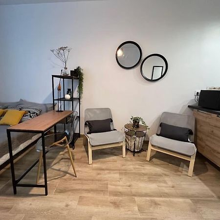 Studio Cosy Rez-De-Chaussee Foix Kültér fotó